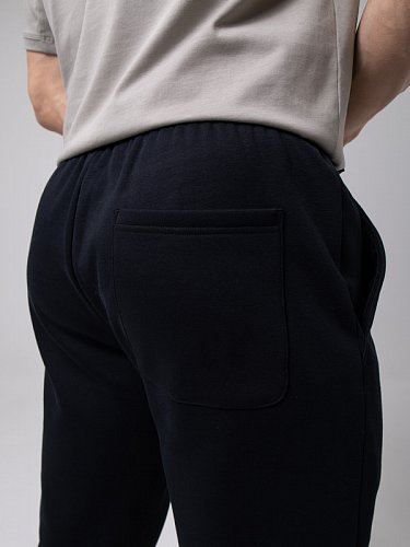Брюки мужские STROBBS E2579-3, черный купить за 3730 ₽ в магазине «Аматис»