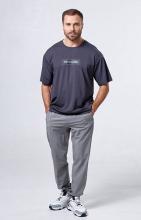 Брюки мужские STROBBS E2430-4, серый