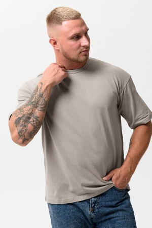 Футболка мужская арт. 14414/1 купить за 700 ₽ в магазине «Аматис»