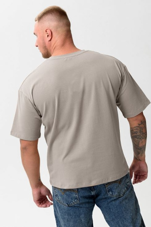 Футболка мужская арт. 14414/1 купить за 700 ₽ в магазине «Аматис»