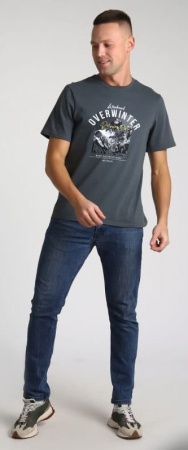 Футболка мужская арт.55087, антрацит