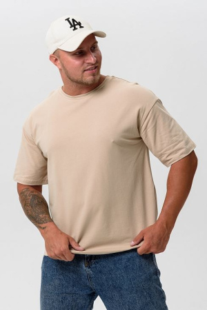 Футболка мужская арт. 14414/1 купить за 700 ₽ в магазине «Аматис»